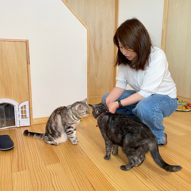 猫たちとリビングで至福の時間が過ごせます。