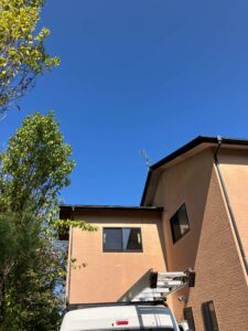 軒天にキツツキ⁈