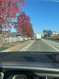 短い秋 ぎゅっと・・・