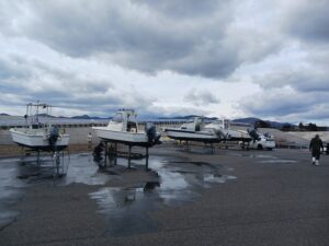 今年も、浄化スタート