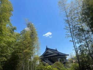 「たけのこがつないでくれる春のご縁」
